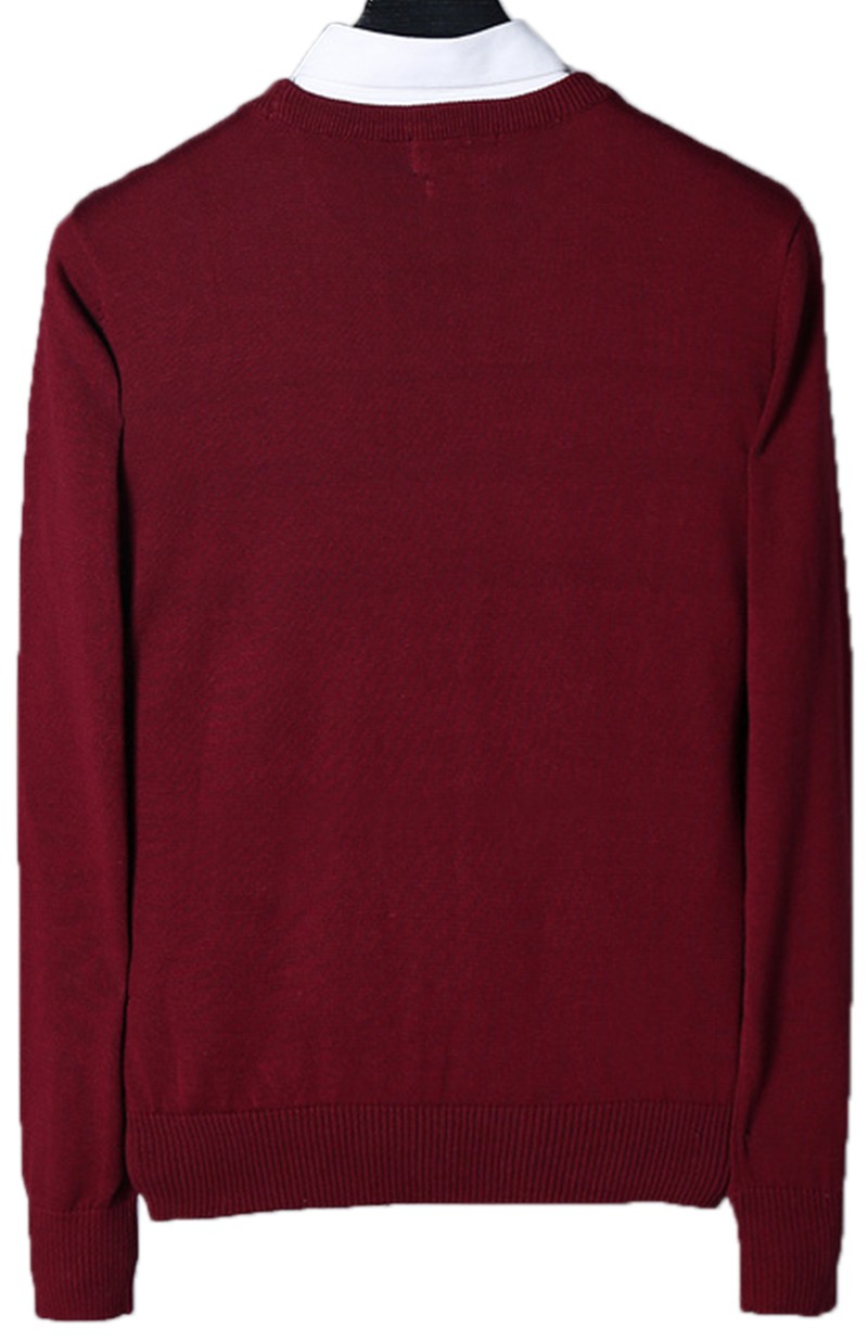 ראלף לורן-RALPH LAUREN SWETER MEN - Pohutukawa – תמונה 2