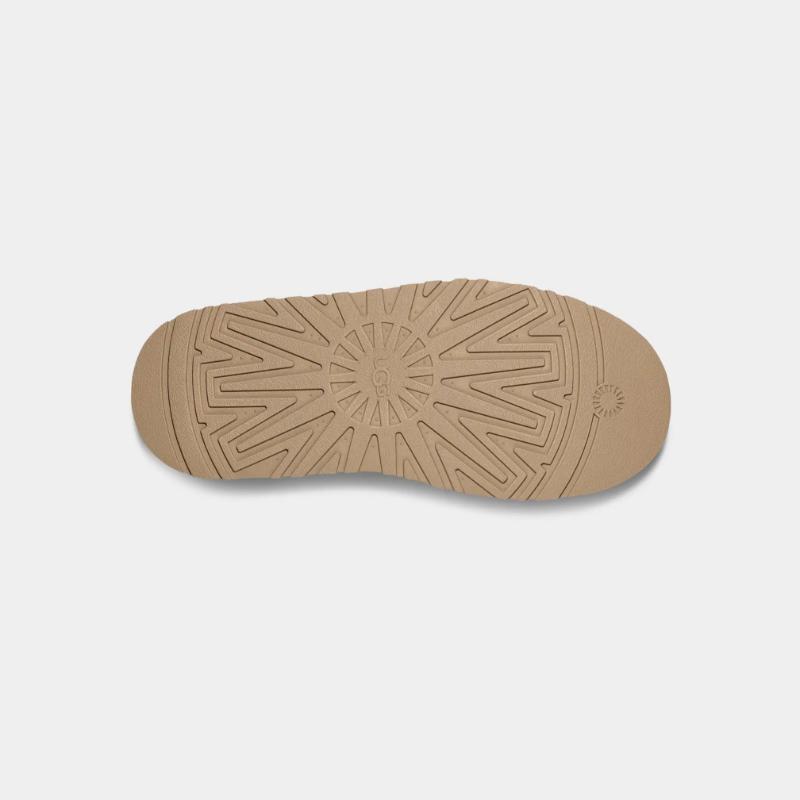 Women's Tazz – תמונה 6