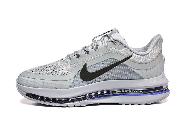 נעלי נייק Nike Pegasus Premium Silver – תמונה 2